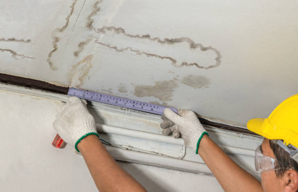 Reliable Mold Remediation contractor in Raleigh, NC by Local Water Damage Repair